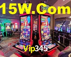 Vip345 App Interface